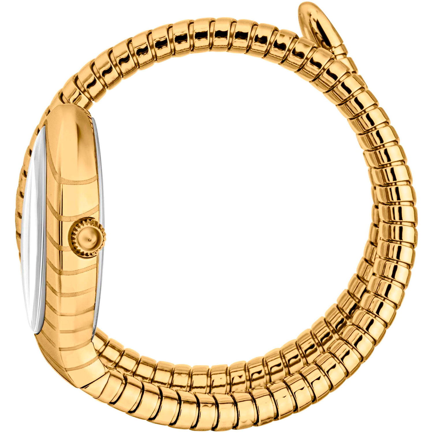 Just Cavalli JC1L372M0025